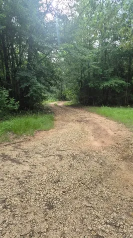 2016 County Road 1865 North Grapeland TX 75844