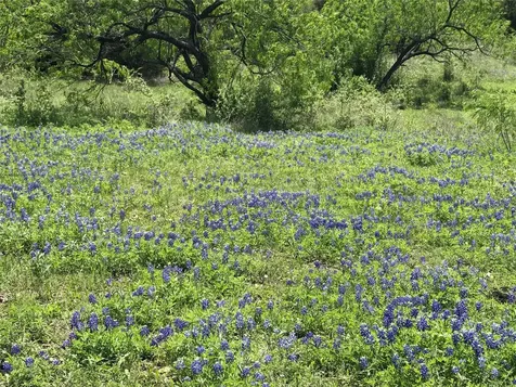 15501 Goforth Road Buda TX 78610