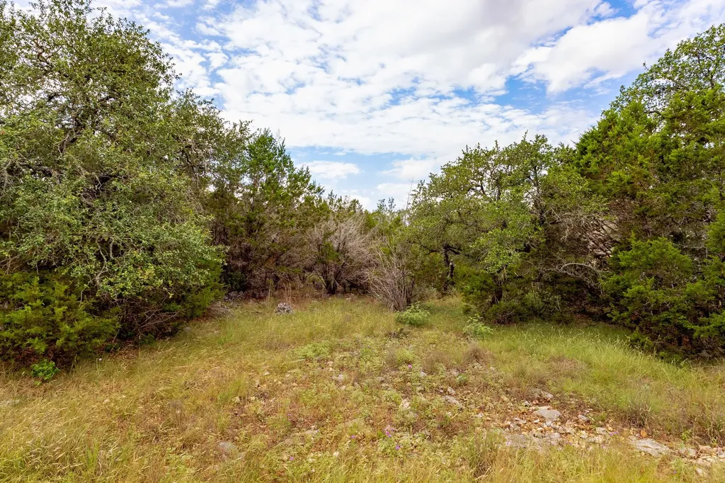 1455 Happy Hollow Drive New Braunfels TX 78132