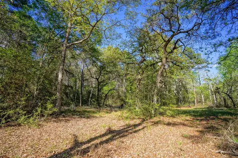 15777 Post Oak Road Plantersville TX 77363