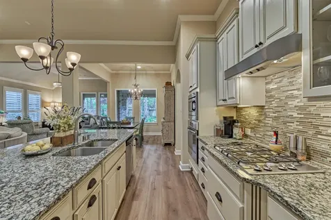126 Bellardia Court Montgomery TX 77316