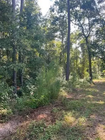 4607 Woodpeckers Grove Cleveland TX 77328