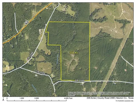 1 County Road 2088 Burkeville TX 75932