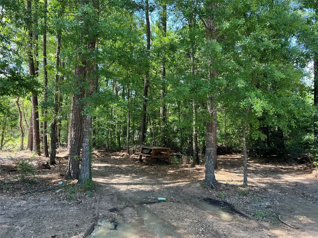 000 Three South Splendora TX 77372