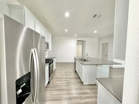 1107 Curly Angora Court Rosharon TX 77583