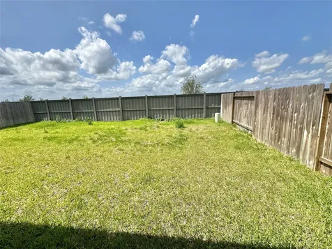 1107 Curly Angora Court Rosharon TX 77583