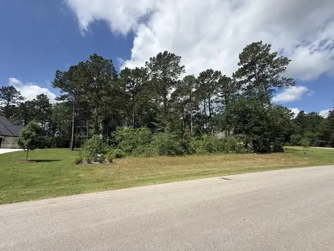 8652 Cedar Meadow Lane Plantersville TX 77363
