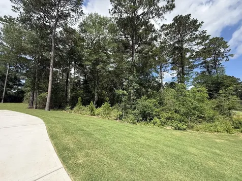 8652 Cedar Meadow Lane Plantersville TX 77363