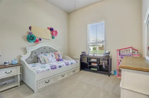 9518 Humboldt Trail Iowa Colony TX 77583