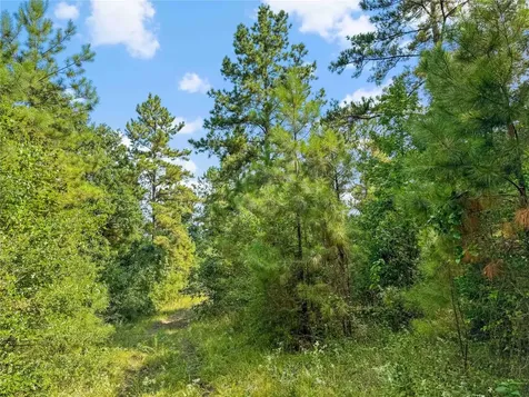 1100 County Road 2306 Cleveland TX 77327