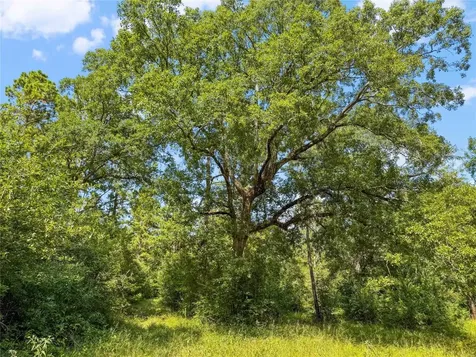 1100 County Road 2306 Cleveland TX 77327