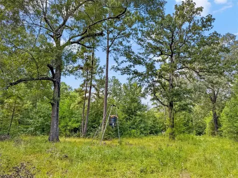 1100 County Road 2306 Cleveland TX 77327