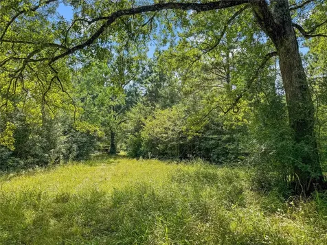 1100 County Road 2306 Cleveland TX 77327