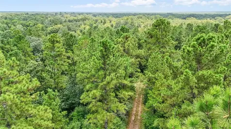 1100 County Road 2306 Cleveland TX 77327