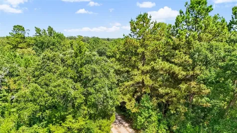 1100 County Road 2306 Cleveland TX 77327