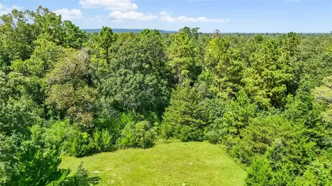 1100 County Road 2306 Cleveland TX 77327