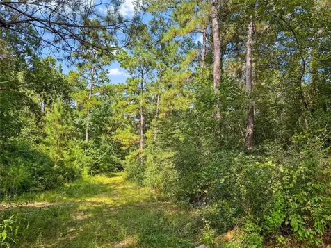 1100 County Road 2306 Cleveland TX 77327