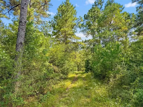 1100 County Road 2306 Cleveland TX 77327