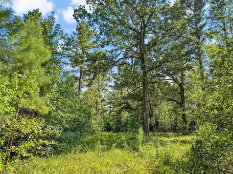 1100 County Road 2306 Cleveland TX 77327