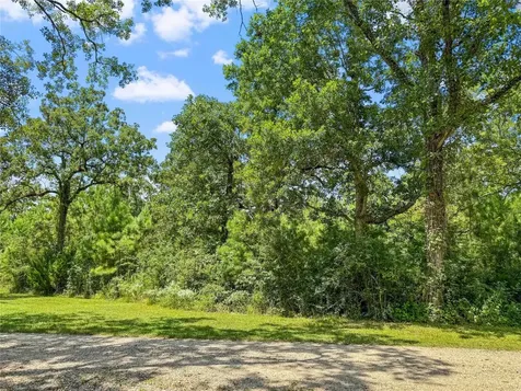 1100 County Road 2306 Cleveland TX 77327