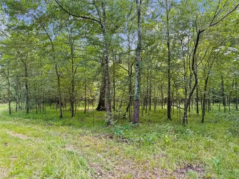 1100 County Road 2306 Cleveland TX 77327