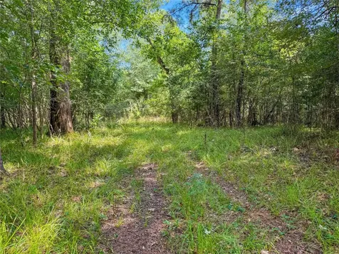 1100 County Road 2306 Cleveland TX 77327