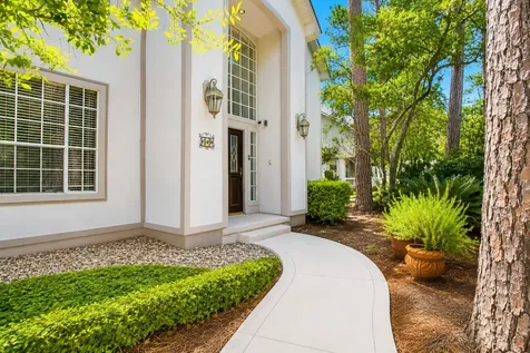 19 Heather Wisp Place The Woodlands TX 77381