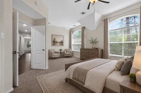19 Heather Wisp Place The Woodlands TX 77381