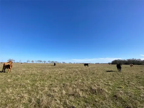 13.5 Acres Highway 30 Bedias TX 77831