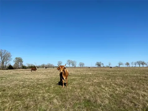 13.5 Acres Highway 30 Bedias TX 77831