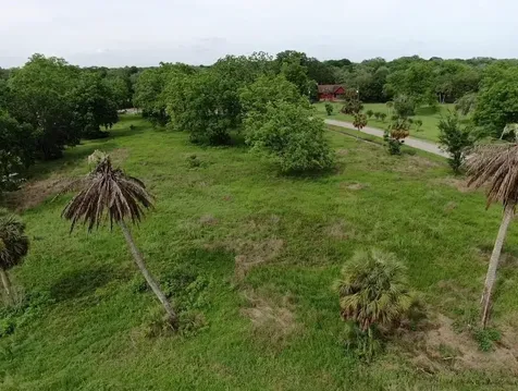 Lot 220 County Road 461 A Brazoria TX 77422