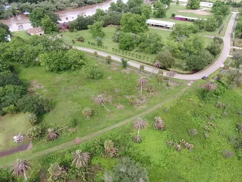 Lot 220 County Road 461 A Brazoria TX 77422