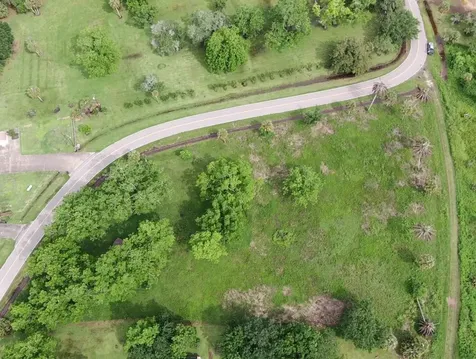 Lot 220 County Road 461 A Brazoria TX 77422