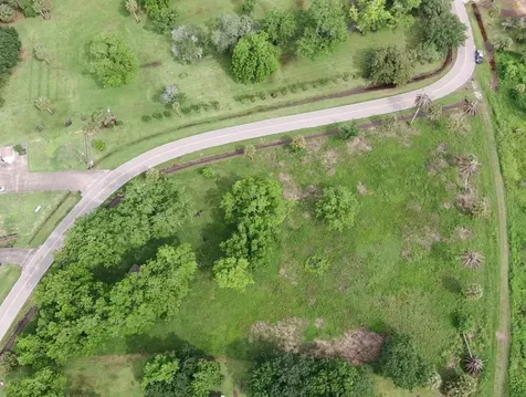 Lot 220 County Road 461 A Brazoria TX 77422