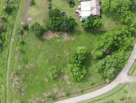 Lot 220 County Road 461 A Brazoria TX 77422