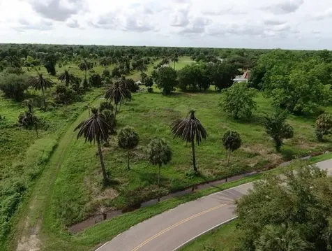Lot 220 County Road 461 A Brazoria TX 77422