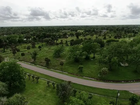 Lot 220 County Road 461 A Brazoria TX 77422