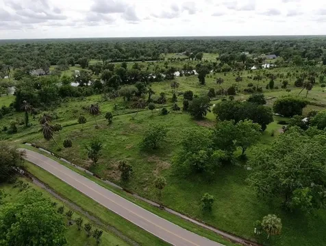 Lot 220 County Road 461 A Brazoria TX 77422