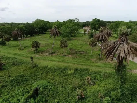Lot 220 County Road 461 A Brazoria TX 77422