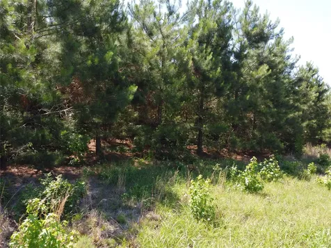 2 Tbd County Road 295 Garrison TX 75946