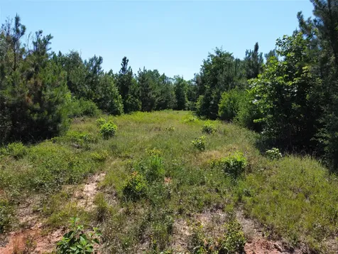 2 Tbd County Road 295 Garrison TX 75946
