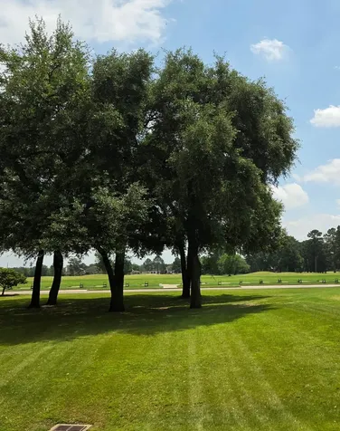 20410 Misty Crossing Lane Spring TX 77379