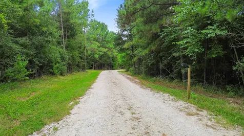 Tbd Big Woods Road New Waverly TX 77358