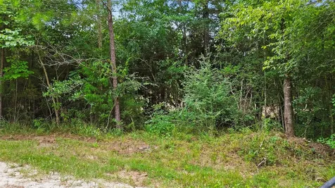 Tbd Big Woods Road New Waverly TX 77358