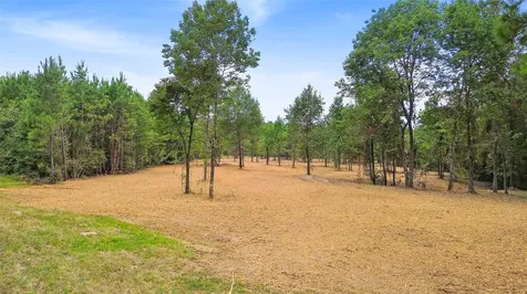 Tbd Big Woods Road New Waverly TX 77358