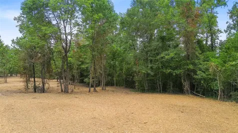 Tbd Big Woods Road New Waverly TX 77358