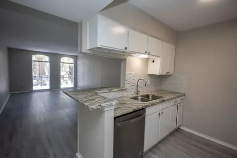4647 Wild Indigo Street 355 Houston TX 77027