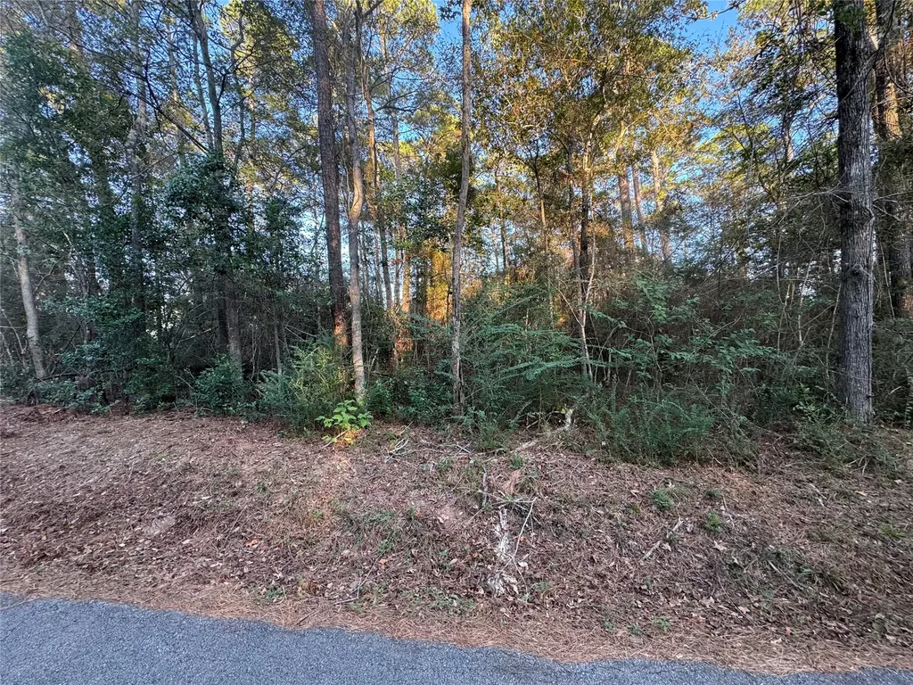 Tbd Eastwood Avenue Coldspring TX 77331