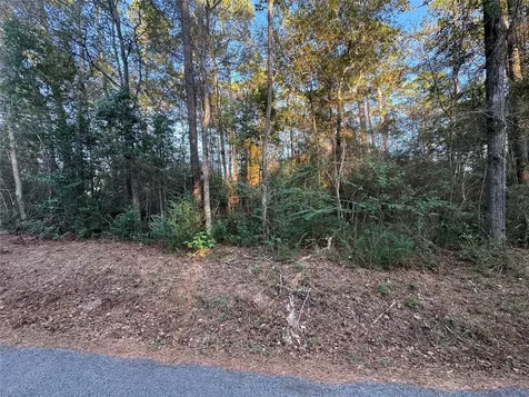 Tbd Eastwood Avenue Coldspring TX 77331