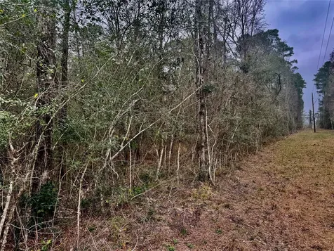 Tbd Eastwood Avenue Coldspring TX 77331